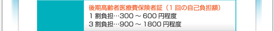 料金：後期高齢者医療被保険者証（1回の自己負担額）　1割負担…300～600円程度　3割負担…900～1800円程度