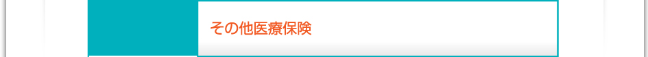 料金：その他医療保険